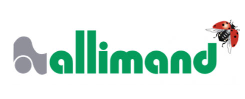 allimand-3