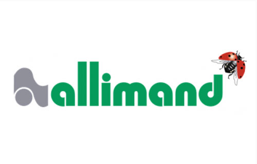 allimand